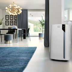 De'Longhi Pinguino PAC EX105 A+++